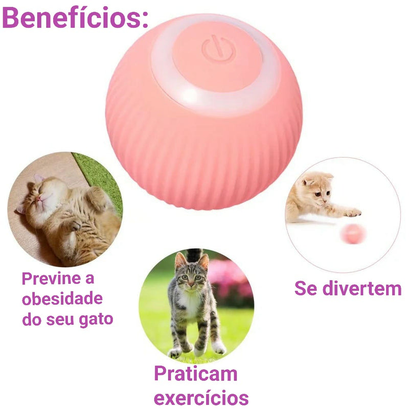 Bola de Brinquedo Elétrica