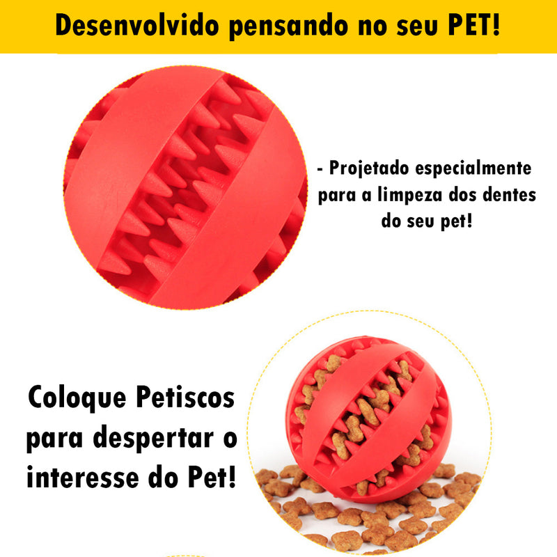 Bola de Borracha com Porta Petiscos